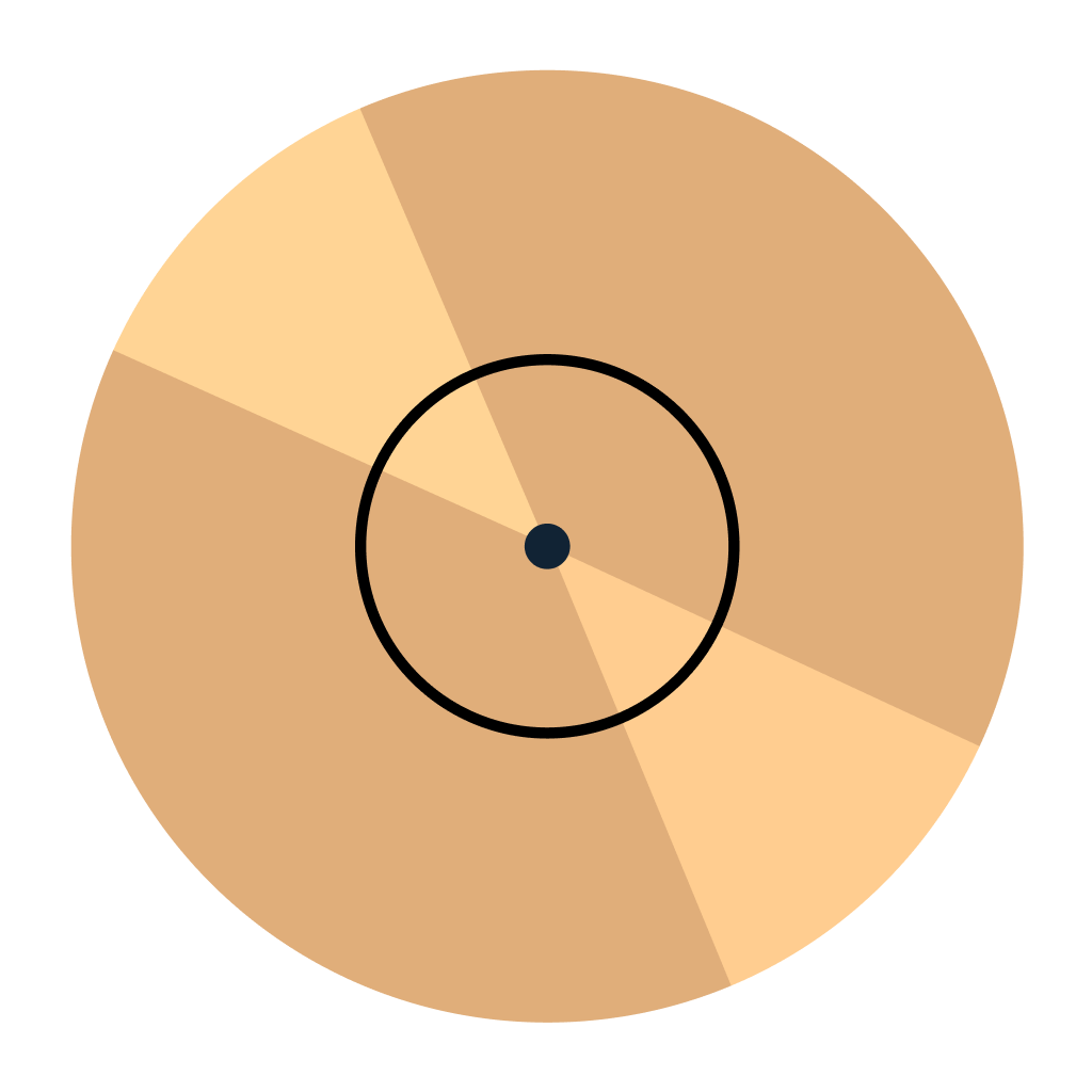 Golden Record Bronze Plan